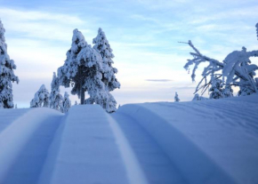 Fulufjellshjørnet - Snø - Alpint - Langrenn - Snøscooter - aking